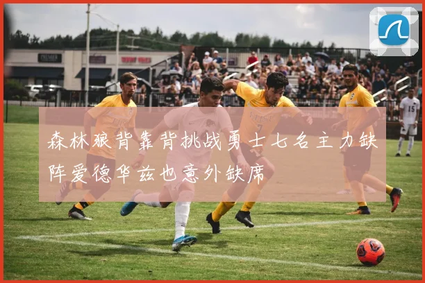 森林狼背靠背挑战勇士七名主力缺阵爱德华兹也意外缺席