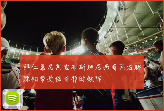 拜仁慕尼黑宣布斯坦尼西奇因右脚踝韧带受伤将暂时缺阵