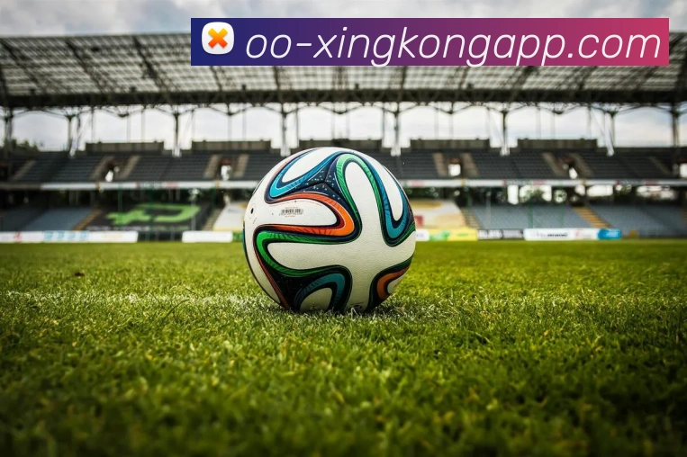 App界面